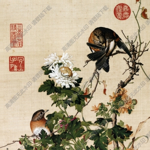 《菊花圖》國(guó)畫(huà)高清大圖下載