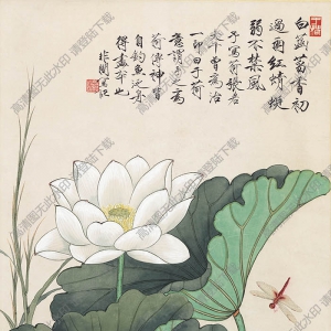 于非闇 國(guó)畫《荷塘蜻蜓翠鳥(niǎo)圖》清大圖下載