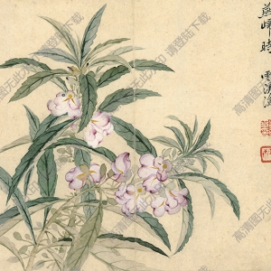 清 惲南田《風仙花》國畫高清大圖下載