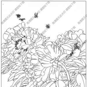 牡丹花線描畫34高清大圖下載