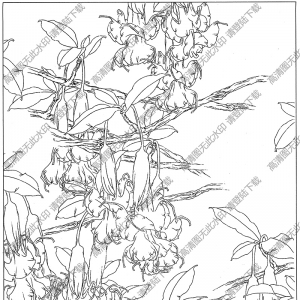 曼陀羅線描畫底稿8高清大圖下載