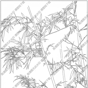 竹子白描線(xiàn)稿15高清圖片下載