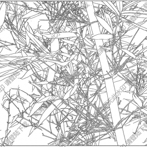 竹子線描畫底稿22高清大圖下載