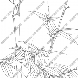 竹子線(xiàn)描畫(huà)底稿34高清大圖下載