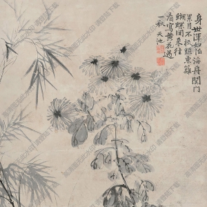 徐渭國(guó)畫(huà) 菊竹圖 高清大圖下載