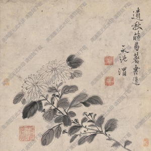 徐渭國(guó)畫(huà)作品 墨菊 高清下載