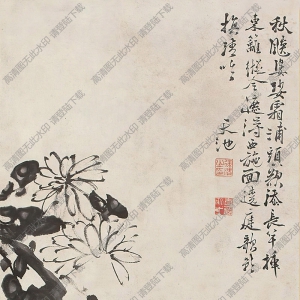 徐渭國(guó)畫(huà)作品 墨菊?qǐng)D 高清下載