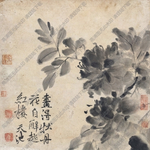 徐渭國(guó)畫(huà)作品 牡丹2 高清下載