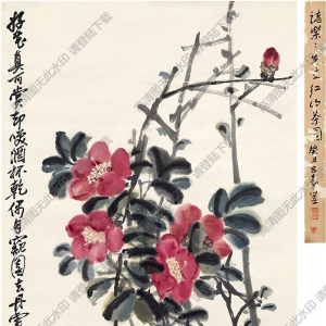 諸樂(lè)三國(guó)畫(huà) 紅山茶圖 高清大圖下載