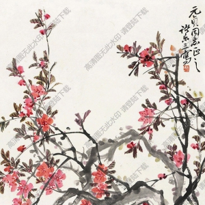 諸樂(lè)三國(guó)畫(huà) 花卉 高清大圖下載